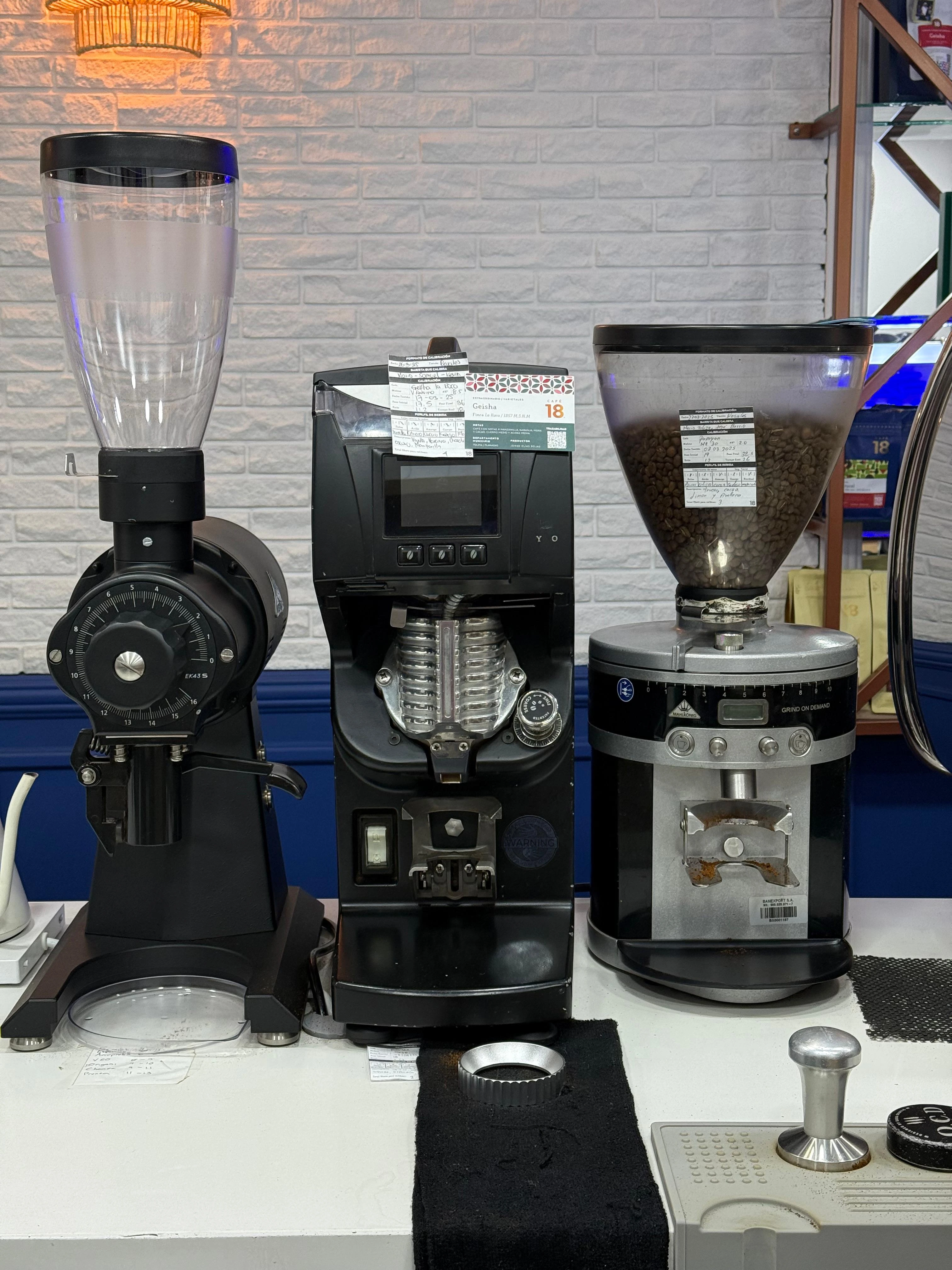 Miniatura 24