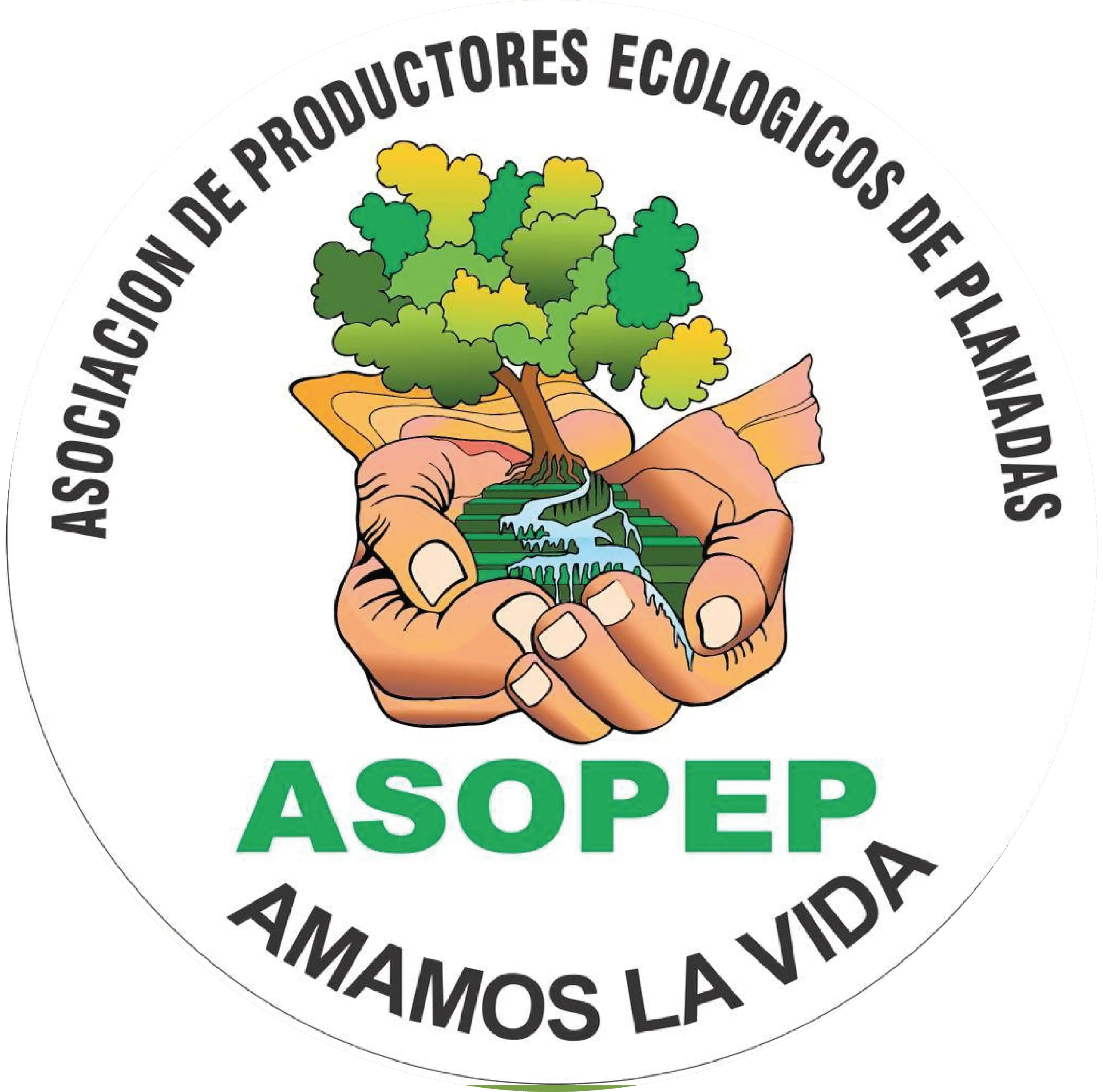 ASOPEP