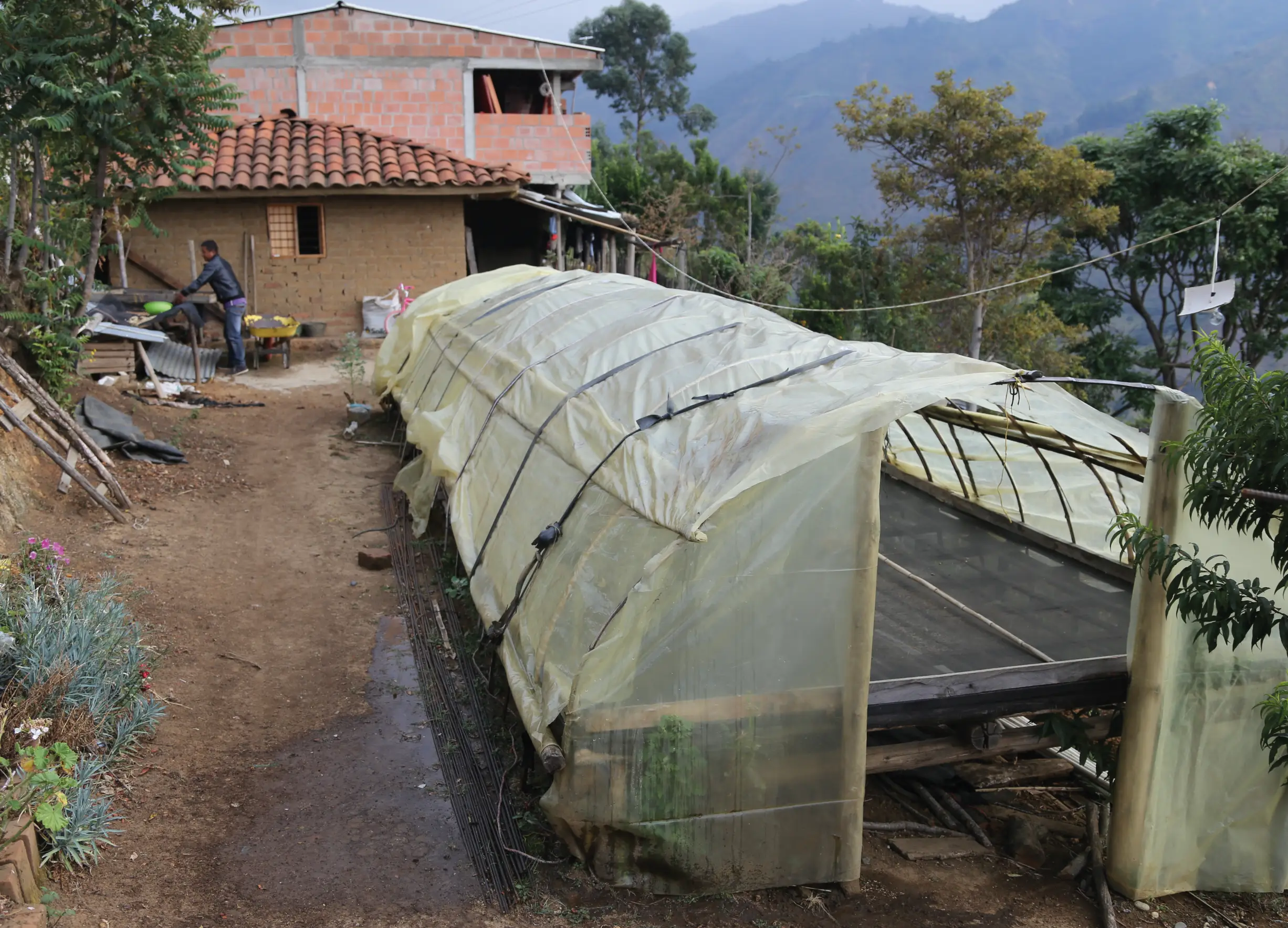 Secado