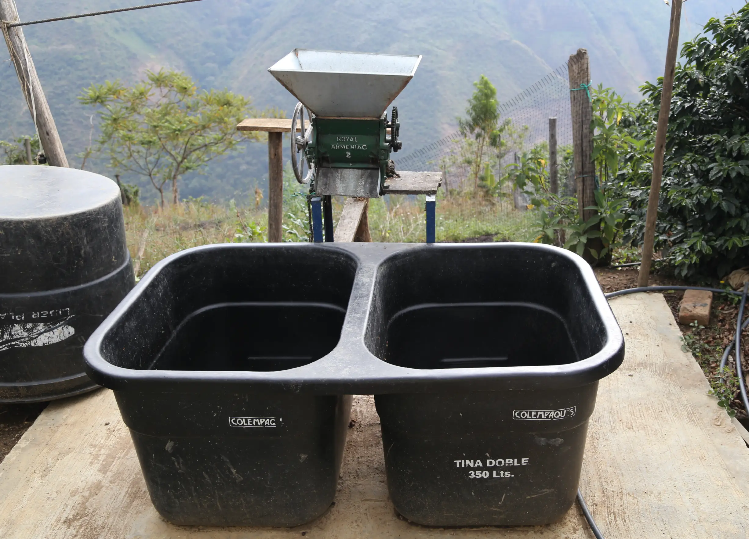 Fermentación
