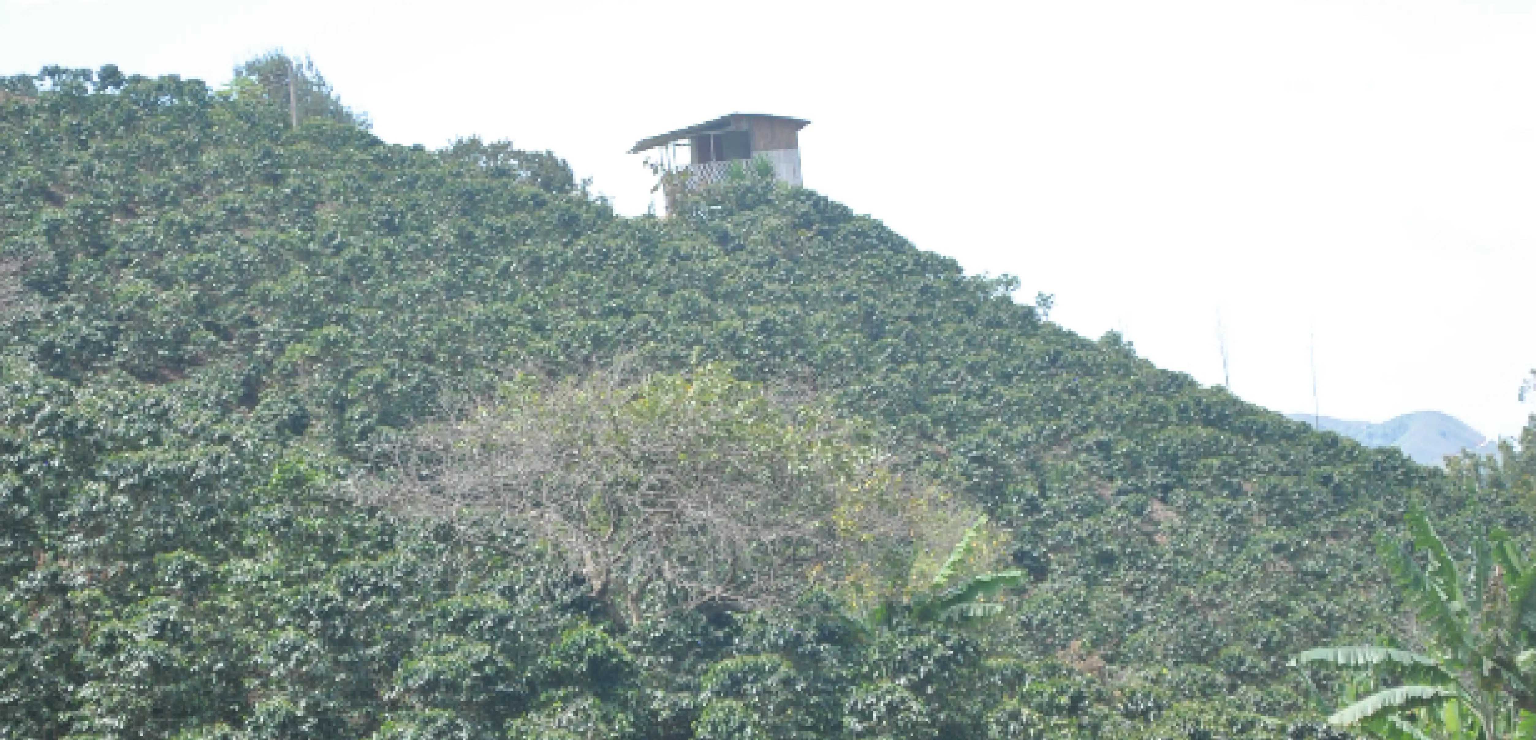El Porvenir
