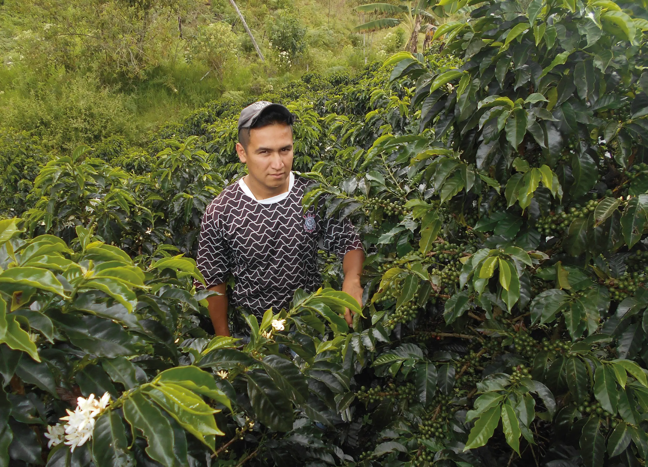 Fermentación