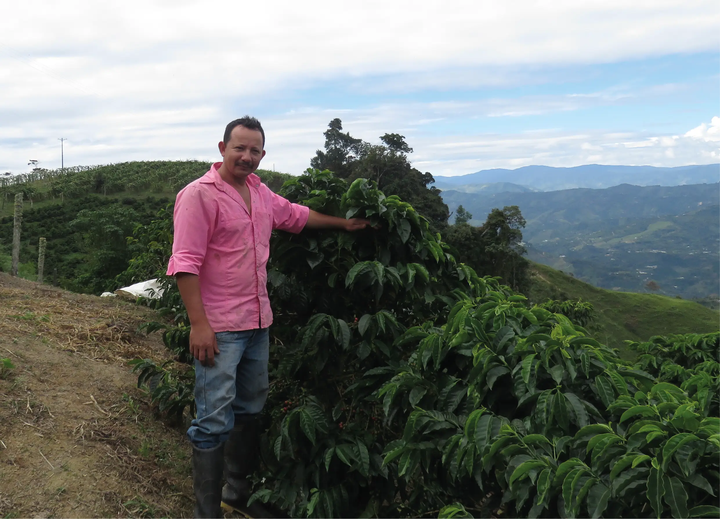 La Piragua