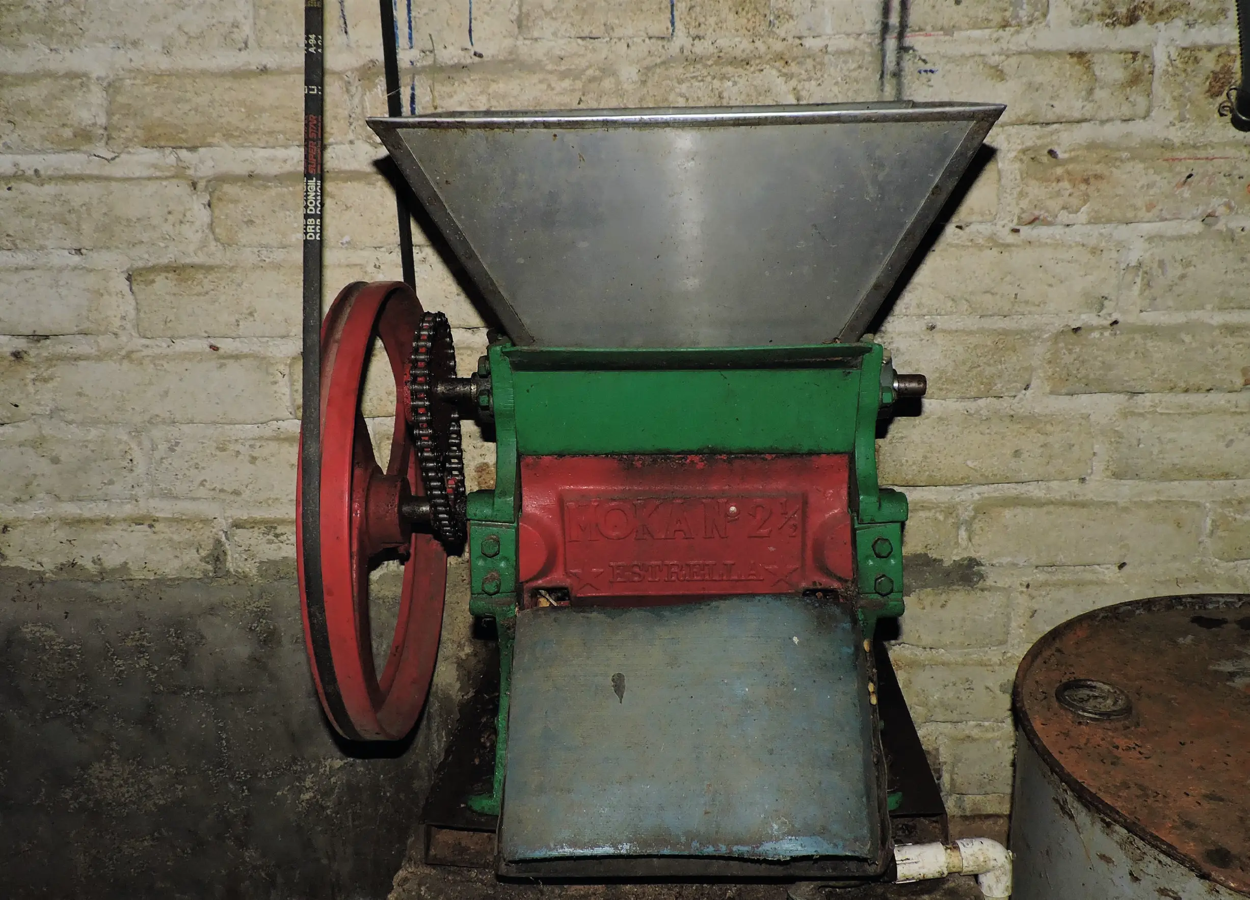 Fermentación