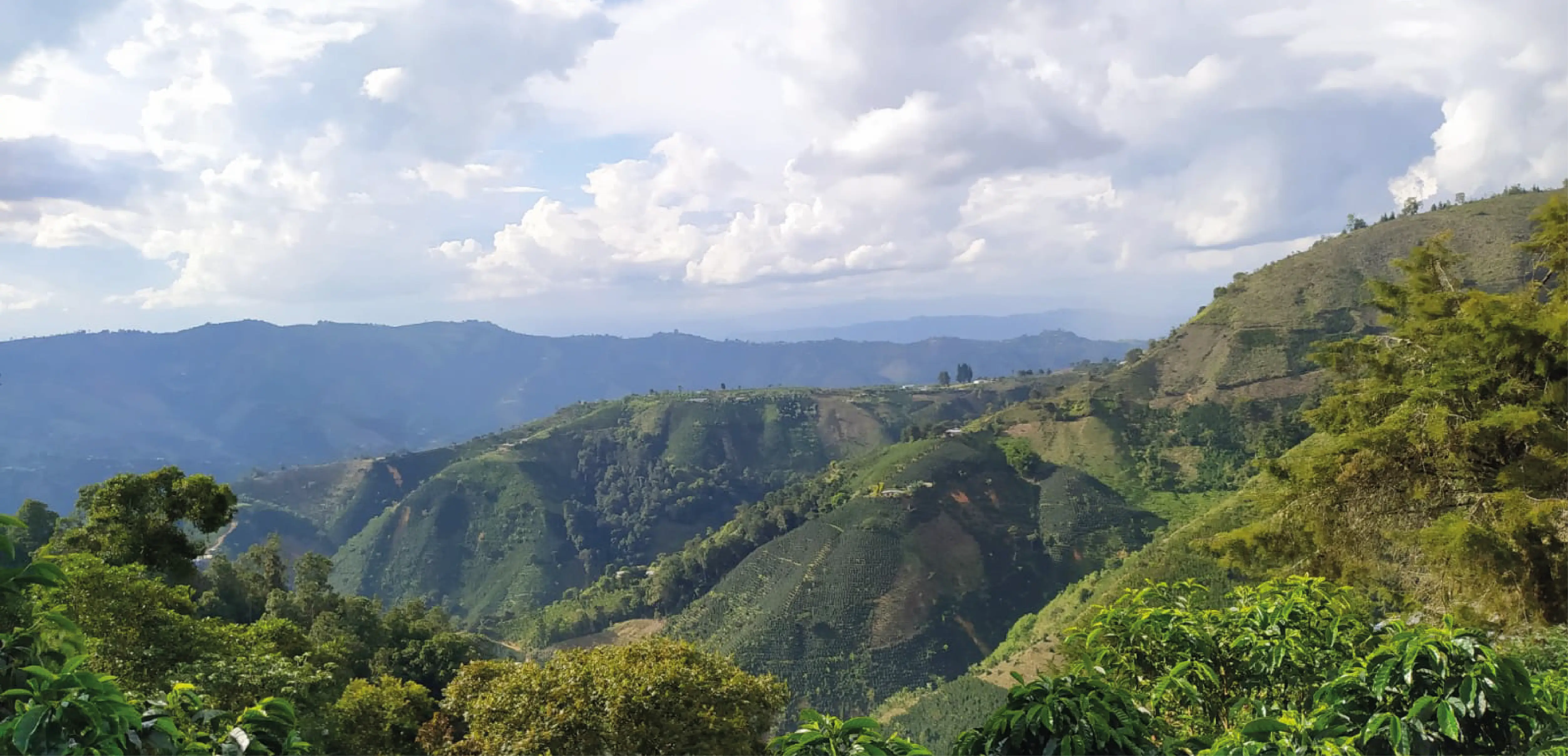 El Mirador