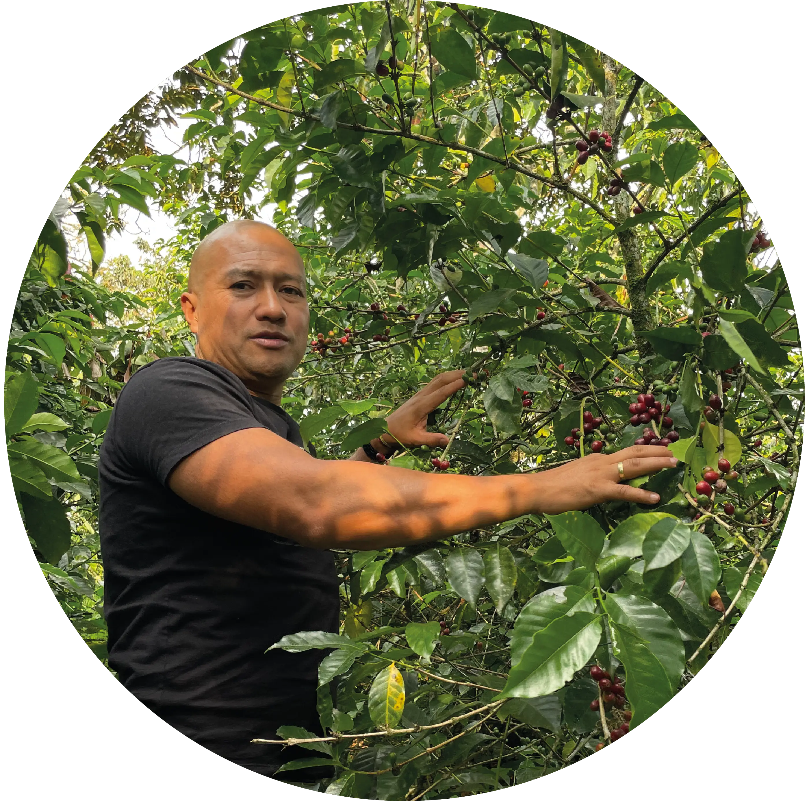 JAMES FERNÁNDEZ VIVAS