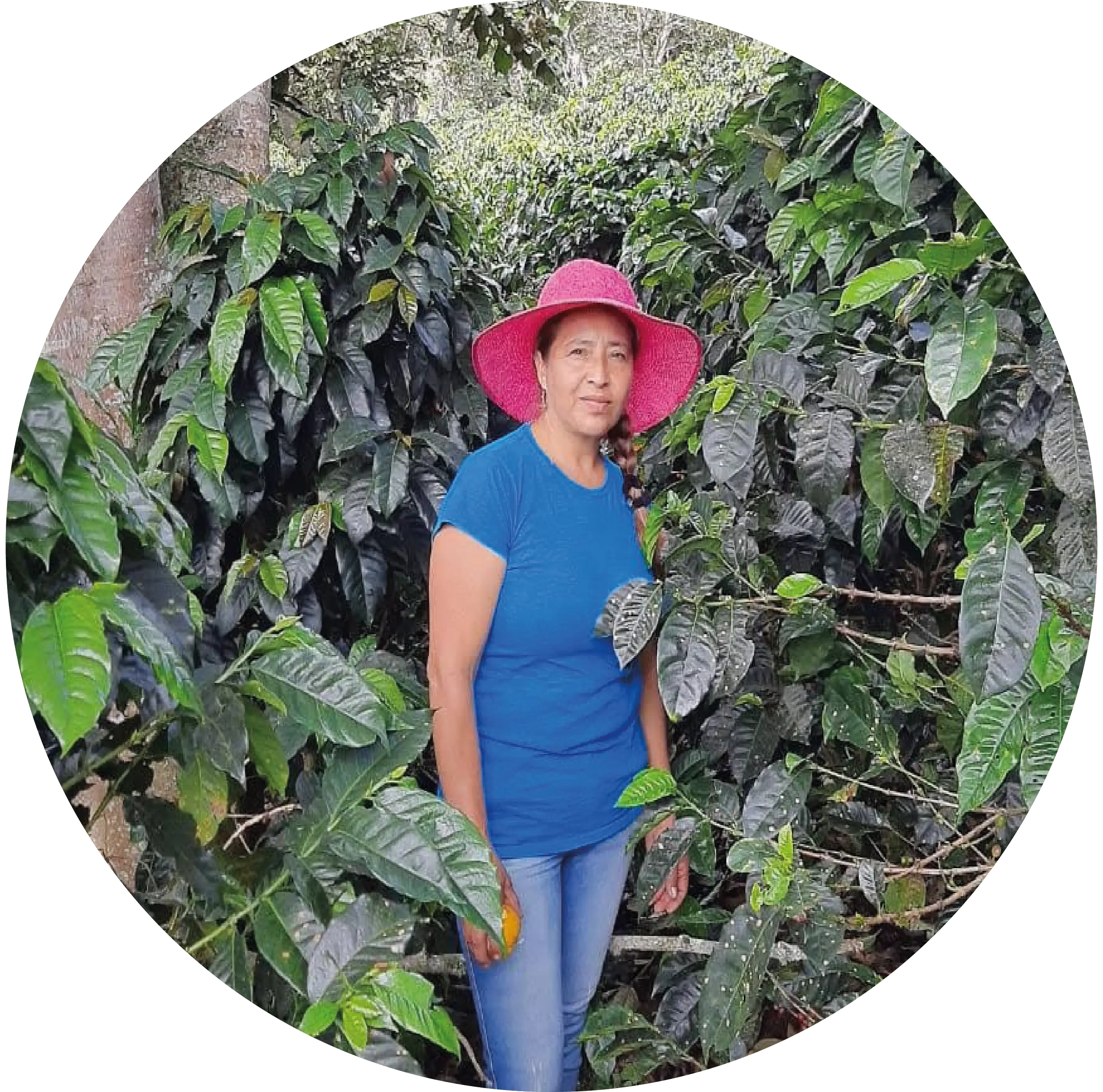 Mercedes Elvira Bravo Meneses