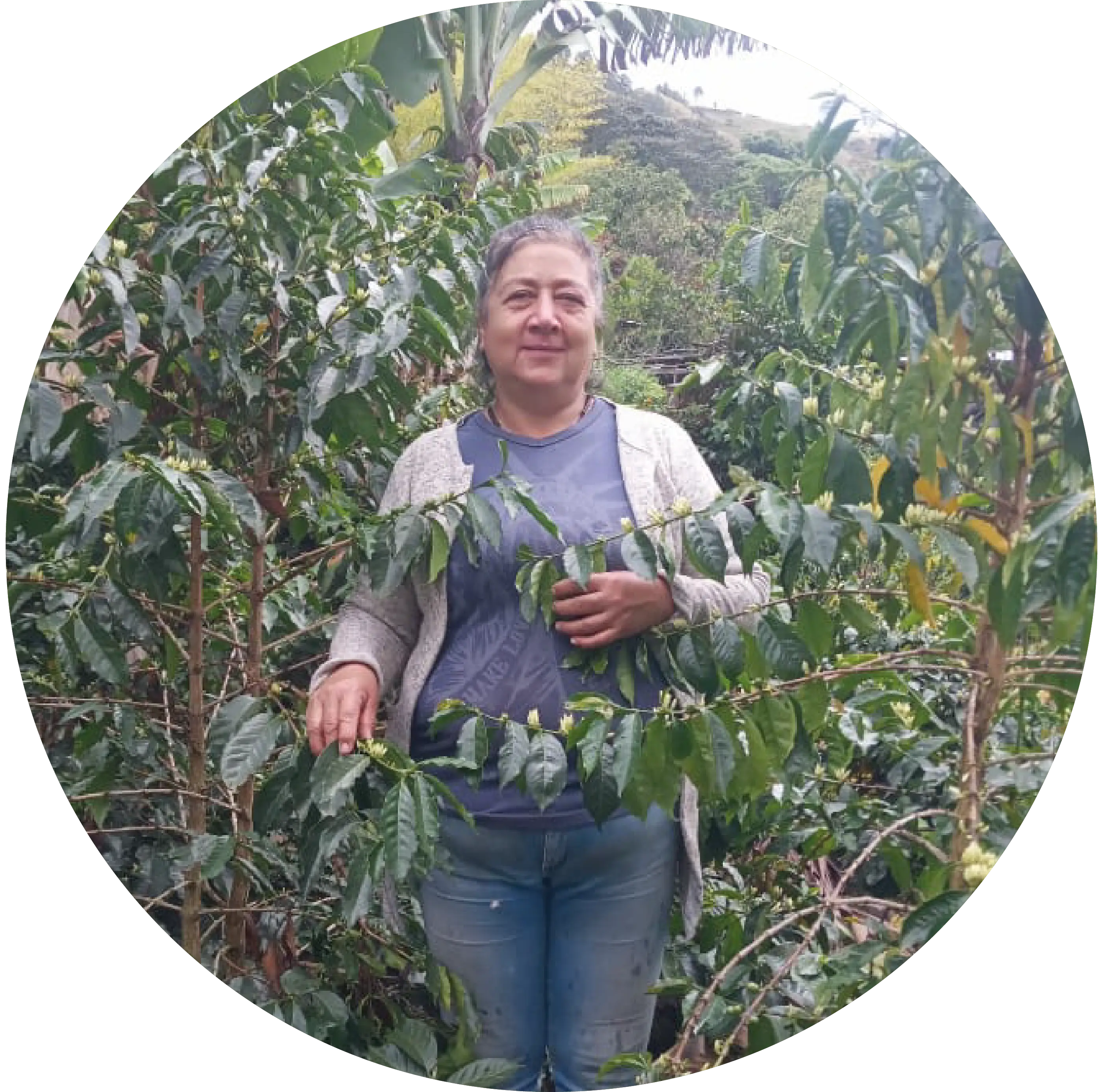 Carmen Elena Lasso Cárdenas