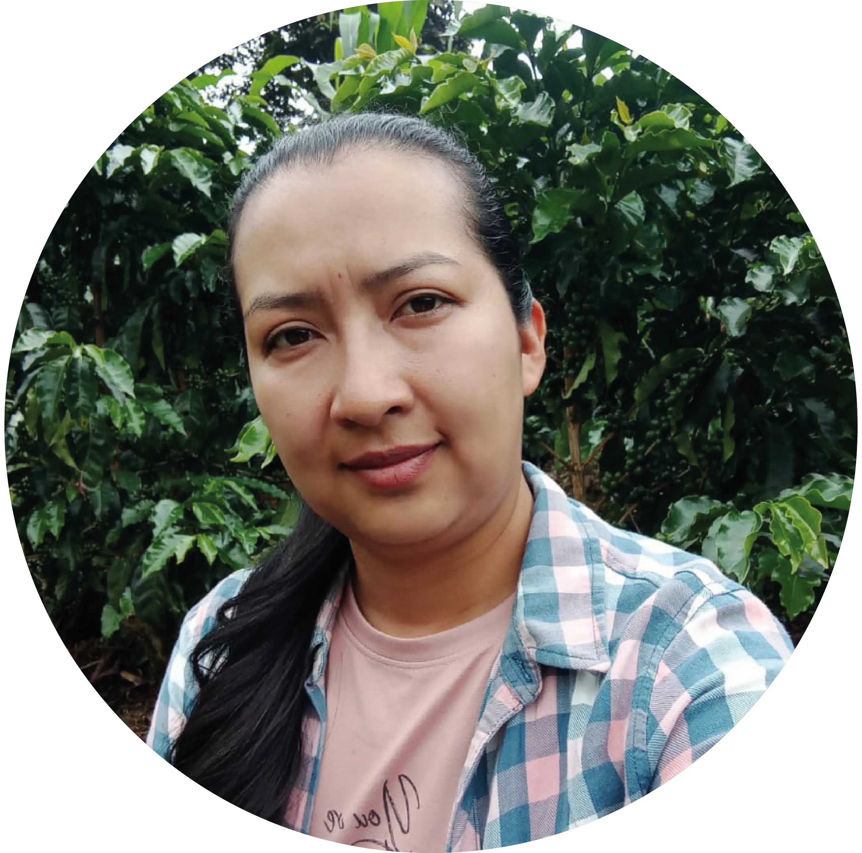 Damaris Yiseth Cerón Gómez