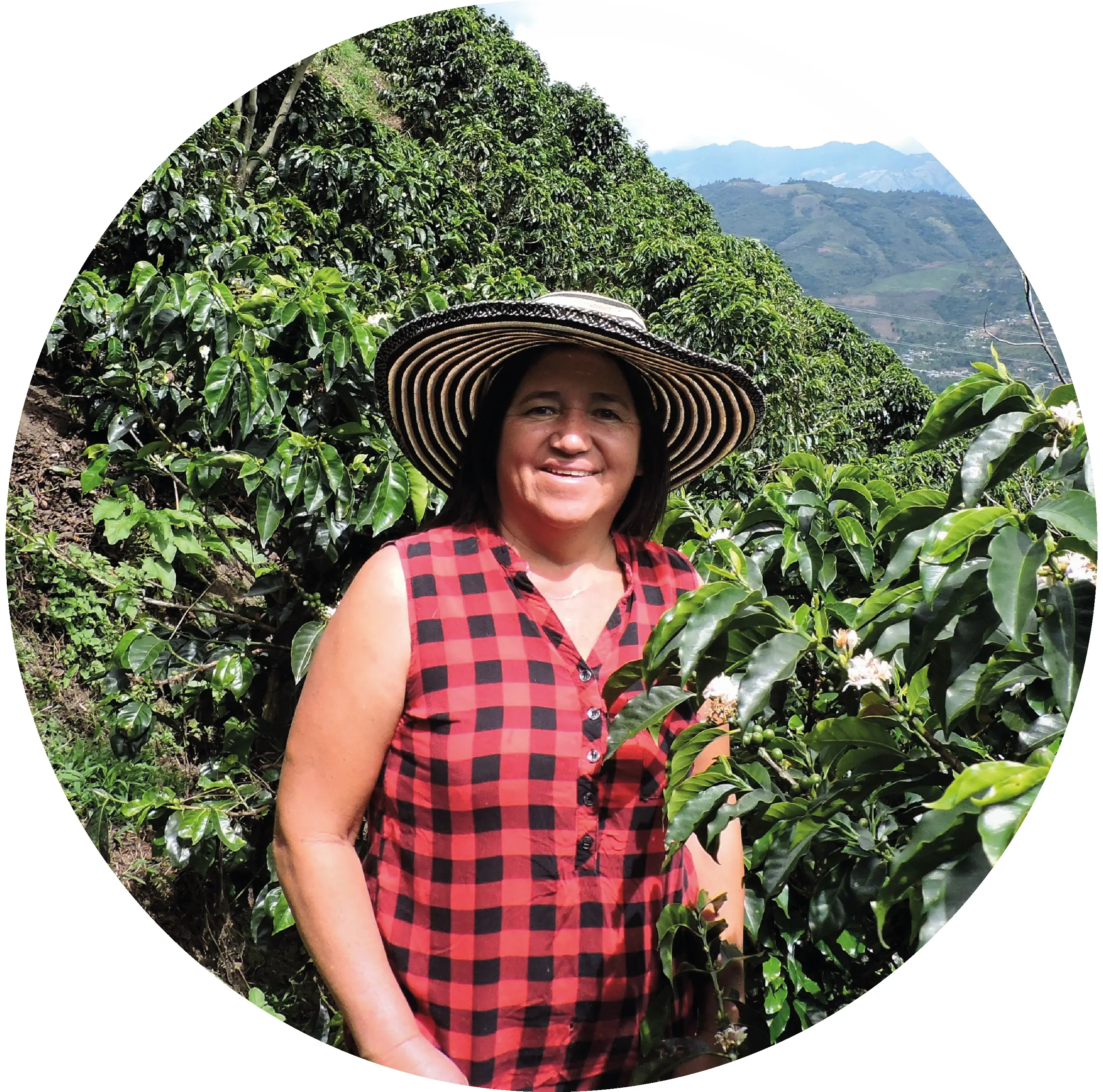 Mirta Eugenia Grijalba Moncayo