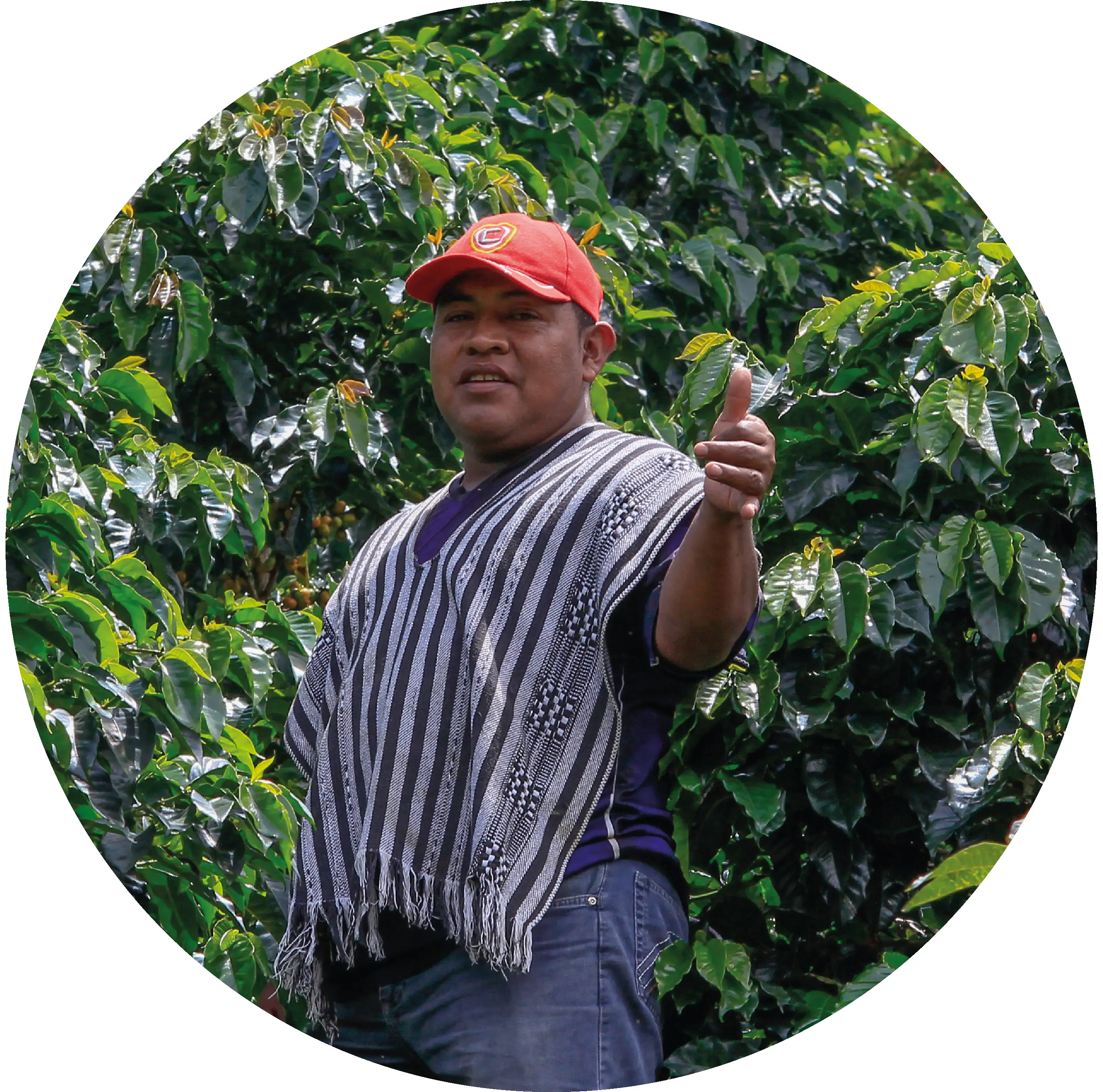 Carlos Gustavo Gonzáles Quirá