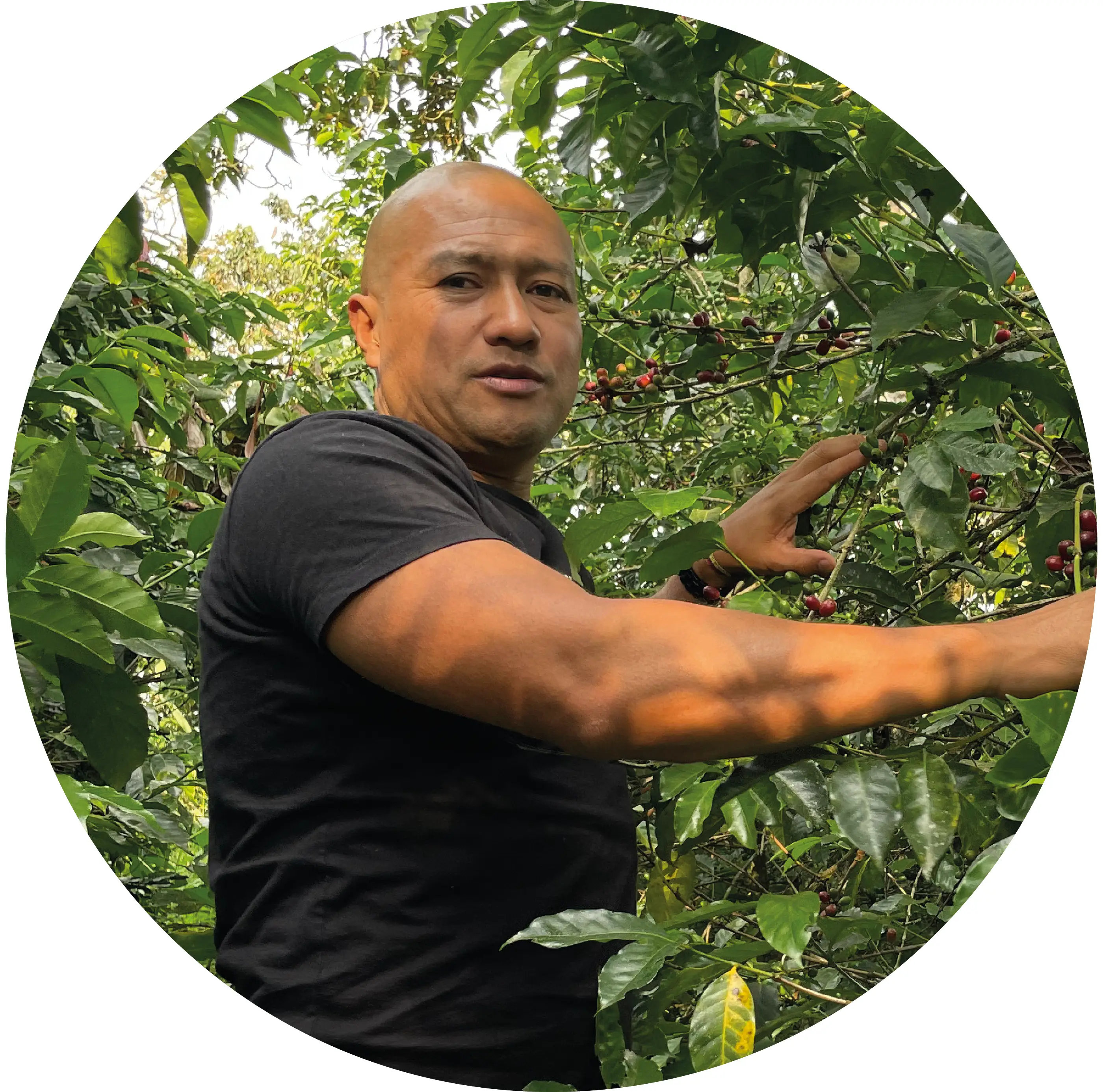 James Arlez Fernández 