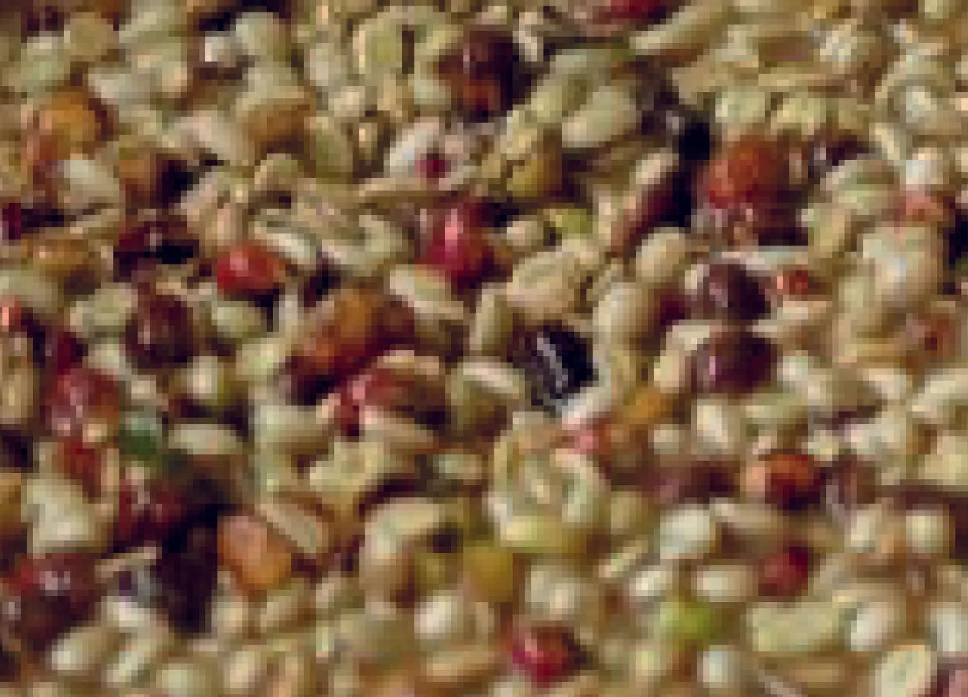 Fermentación