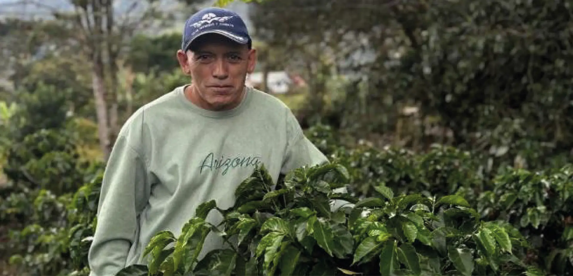 El Guamo