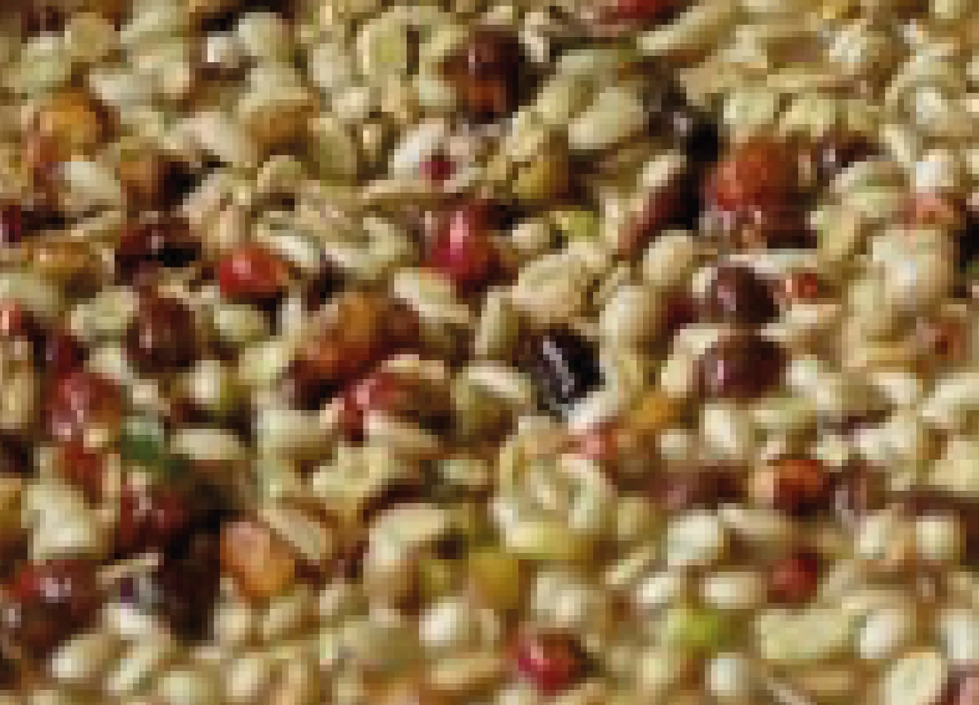 Fermentación