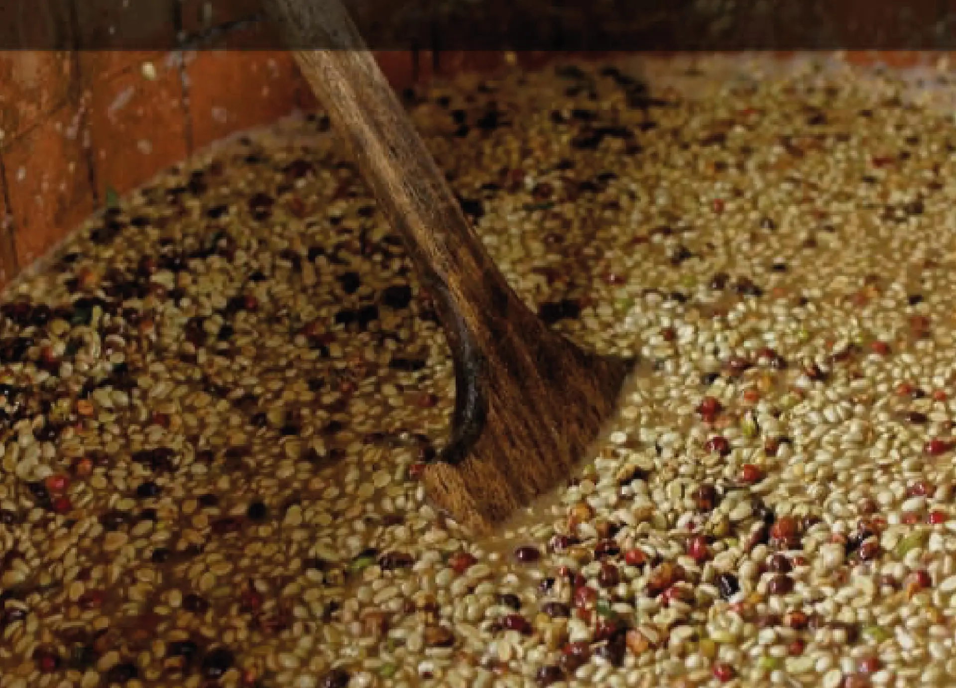 Fermentación