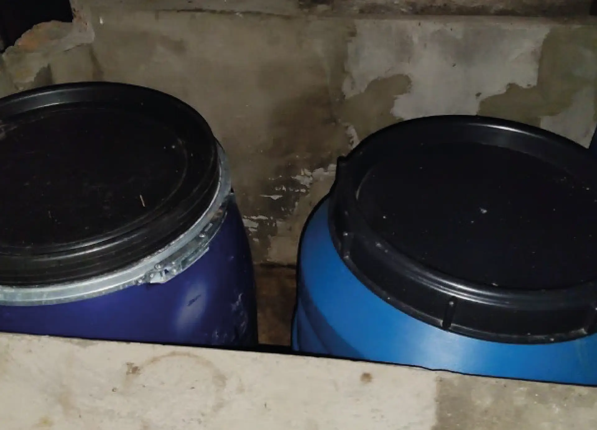 Fermentación