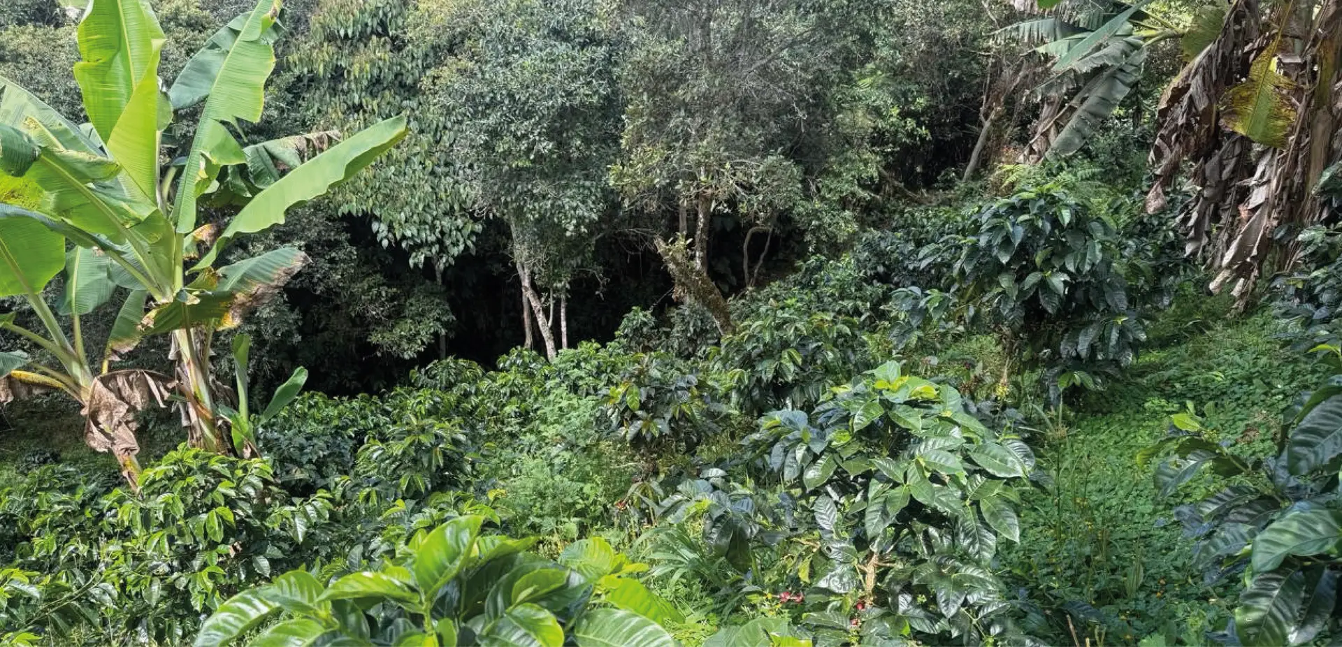 Cajón montaña