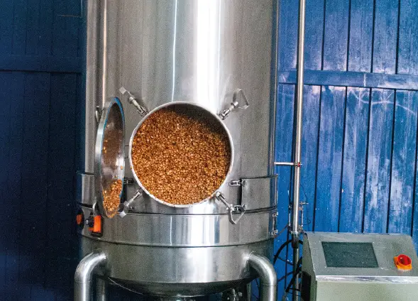 Fermentación