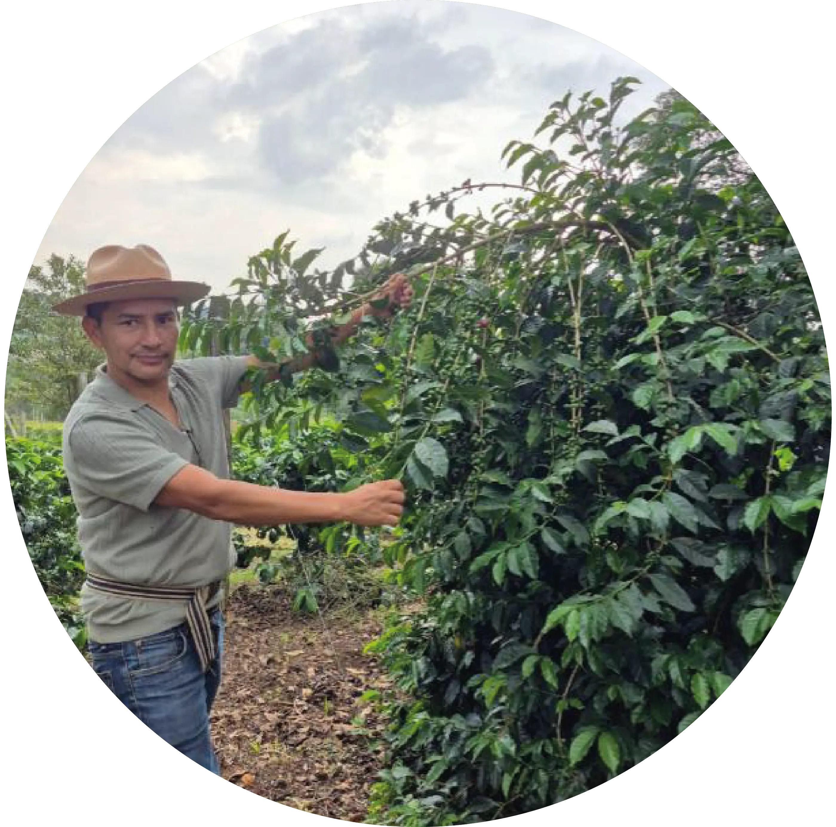 Mario Martínez Acosta