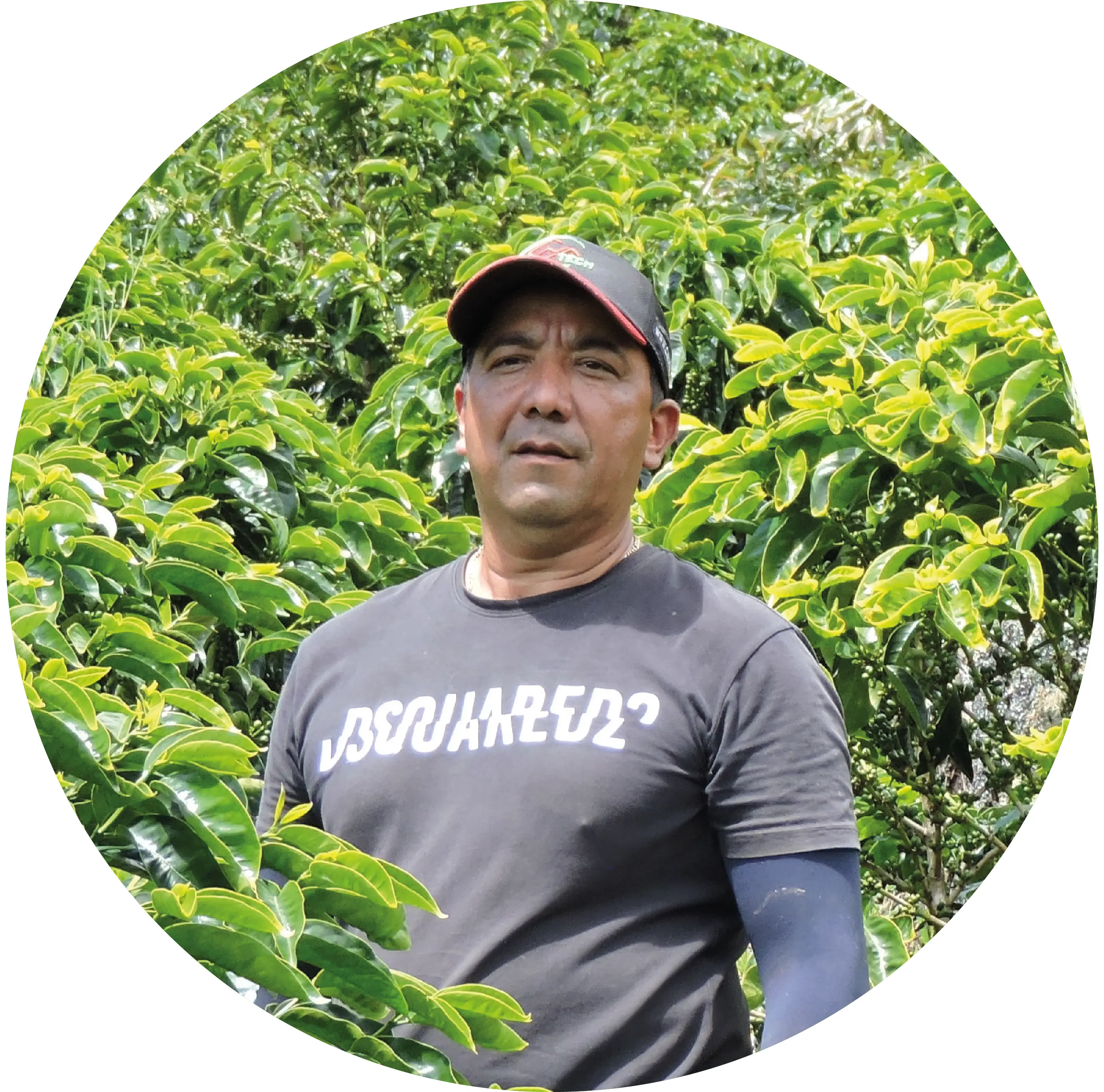 Pedro Juan Botero Londoño